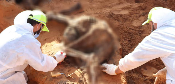 انتشال جثتين من مقبرة جماعية جديدة في ترهونة