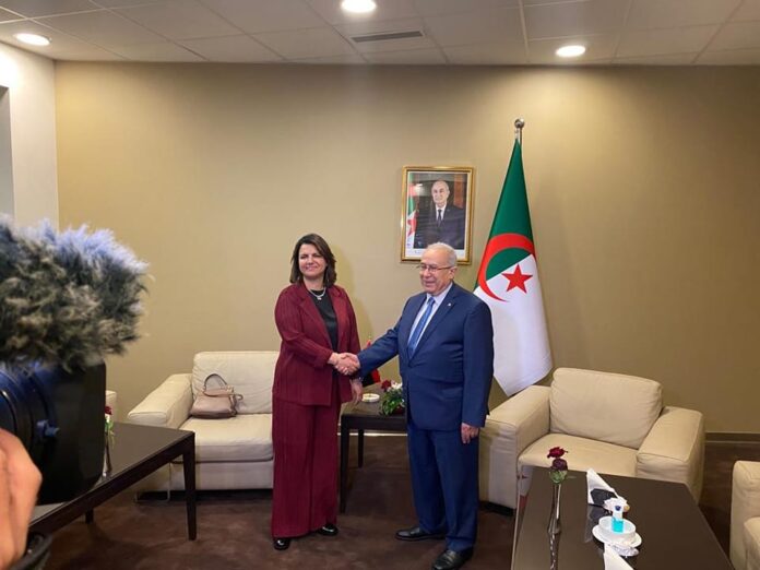 على رأسها ليبيا..«العمامرة»: الأزمات جعلت الدول العربية ساحة للصراعات الأجنبية