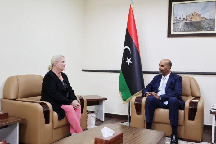 الرئاسي يستعرض أوجه التعاون مع كندا