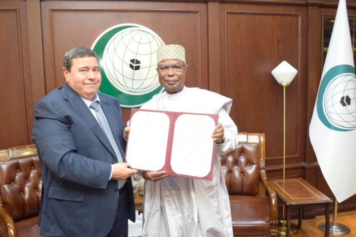 «الحافي» يُعيّن مندوبا جديدا لليبيا في منظمة التعاون الإسلامي