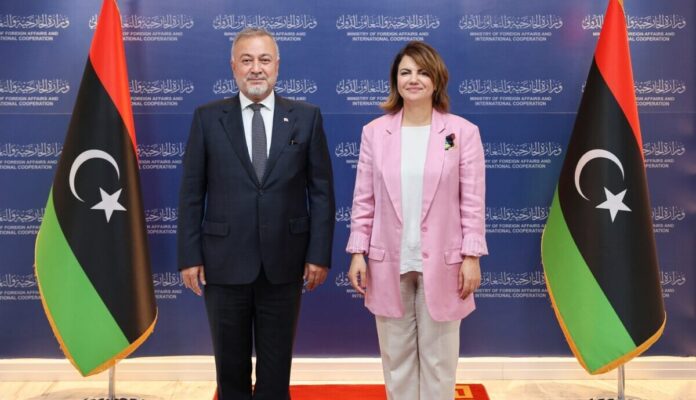 تركيا تُجدد دعمها لجهود الحفاظ على استقرار ليبيا