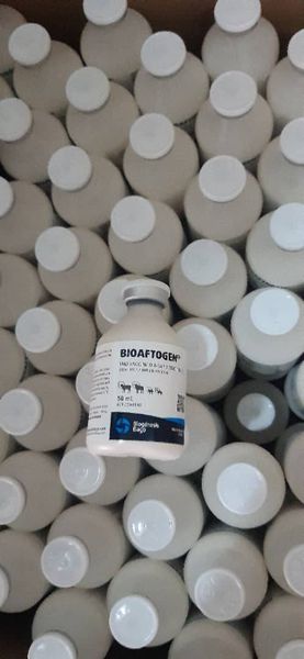 وزارة الزراعة المكلفة تفرج عن شحنة لقاحات الحمى القلاعية بعد فحصها