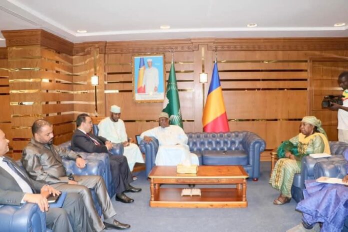 وزير العمل يناقش جهود منع تدفق «الهجرة غير الشرعية» عبر تشاد