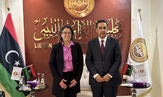 مجلس النواب يبحث مع «خوري» معالجة قضايا «الاحتجاز التعسفي»