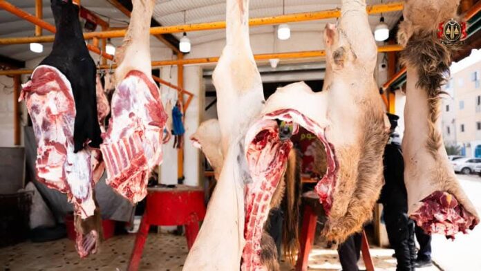 ضبط «لحوم فاسدة» في طرابس وإغلاق محلات والتحقيق مع أصحابها