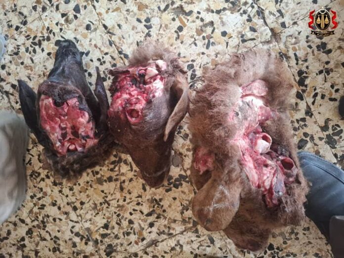 غير صالحة للاستهلاك.. مخالفة محلات لـ«بيع اللحوم» في طبرق