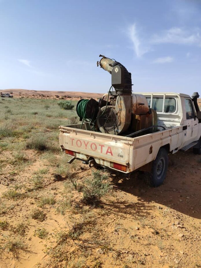 مسؤول بلجنة مكافحة الجراد لـ«عين ليبيا»: ندقّ ناقوس الخطر مرة أخرى ونوجّه نداءً عاجلاً للجميع لاحتواء الوضع