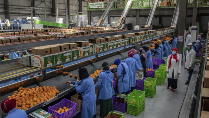 الأردن يجمّد استقدام العمالة الأجنبية ويطلق حملة تفتيش شاملة لضبط السوق