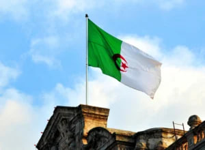 الجزائر.. انتعاش قوي في الزراعة والصناعة والخدمات عام 2024