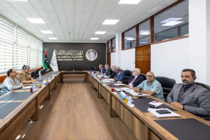 «الأعلى للدولة» يبحث مع المبعوثة الأممية مراحل تنفيذ خارطة الطريق السياسية