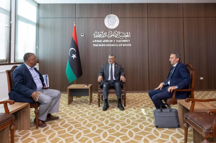 رئيس المجلس الأعلى للدولة يستقبل رئيس مفوضية المجتمع المدني