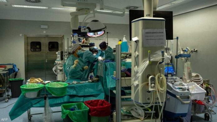 ثورة طبية.. زراعة «كبد خنزير» بجسم إنسان لأول مرة في التاريخ