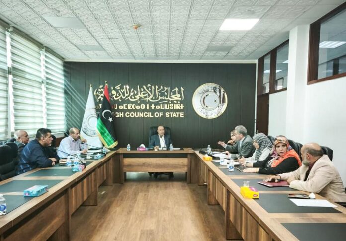 «الأعلى للدولة» ببحث تطوير الأداء في المؤسسات الصحية