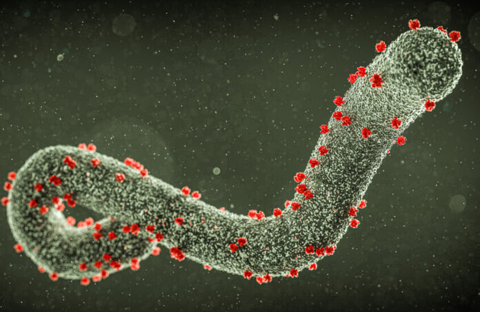 فيروس «قاتل» يضرب إثيوبيا والصحة العالمية تحذّر