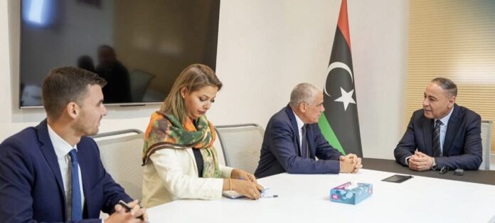 الباعور يبحث مع السفير الألماني تعزيز التعاون ودعم الاستقرار