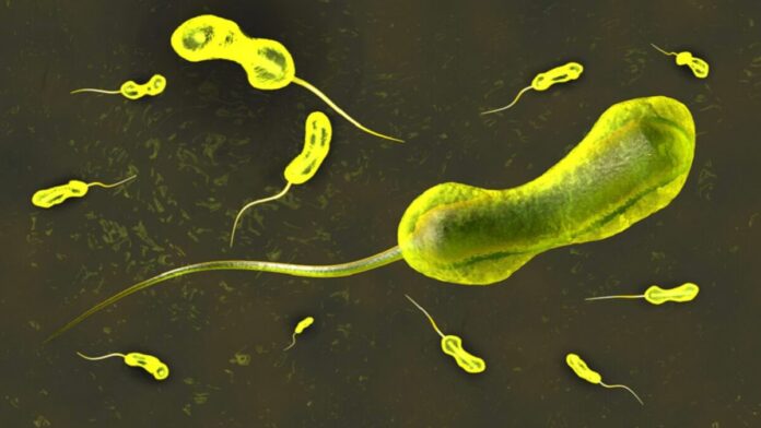 1800 وفاة و15 ألف إصابة.. «الكونغو الديمقراطية» تواجه أسوأ أزمة كوليرا منذ 25 عاماً