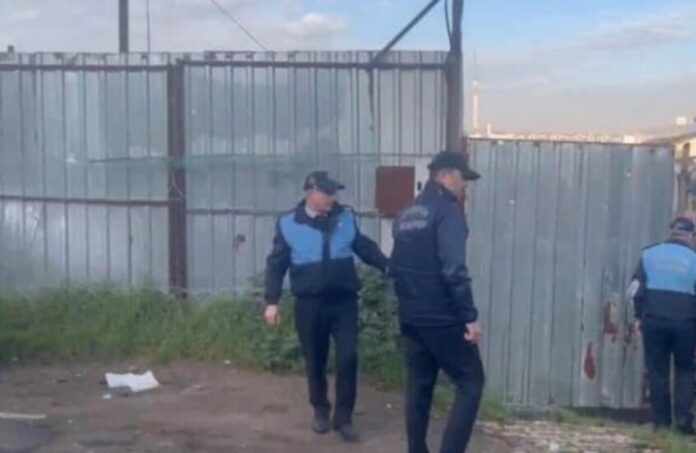 لحوم «الخيول والحمير» تصل إلى الأسواق التركية.. السلطات تتحرك!