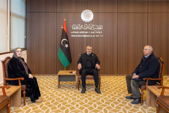 تكالة يلتقي سفير الاتحاد الأوروبي ويبحث مشاركة المرأة بـ«صنع القرار»