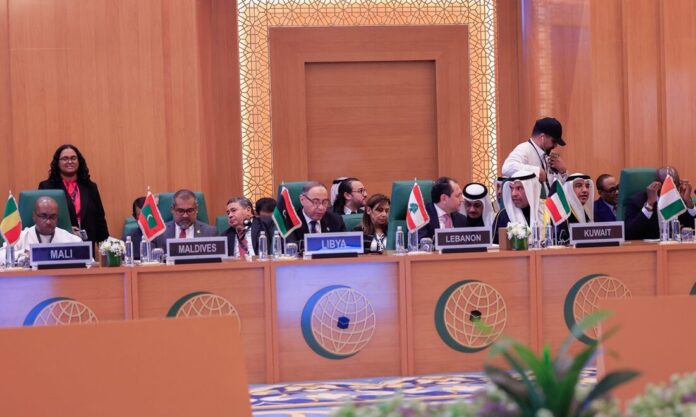 الباعور: ليبيا ترفض أي كيان يمس وحدة الصومال