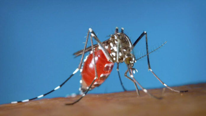 «الصحة العالمية» تطلق إنذاراً عاجلاً.. 78 مليون شخص بخطر!