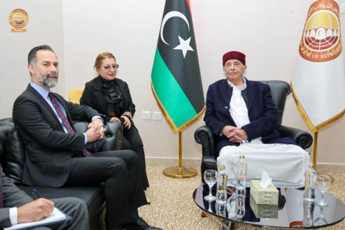 «عقيلة صالح» يبحث مع تركيا ملفات التعاون والتطورات الإقليمية