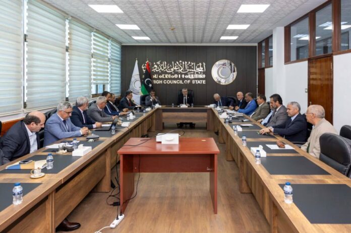 تكالة يبحث أزمة «الوقود والكهرباء» مع ديوان المحاسبة