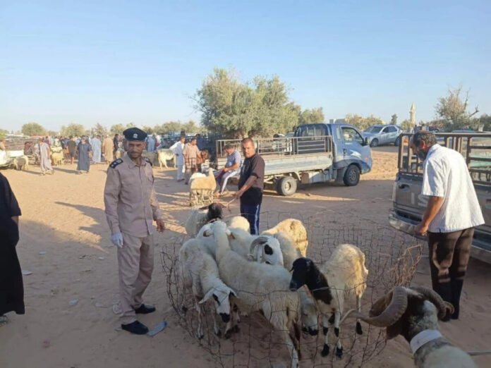 إغلاق شامل للأسواق.. الصحة الحيوانية تكشف لـ«عين ليبيا» تطورات الحمى القلاعية