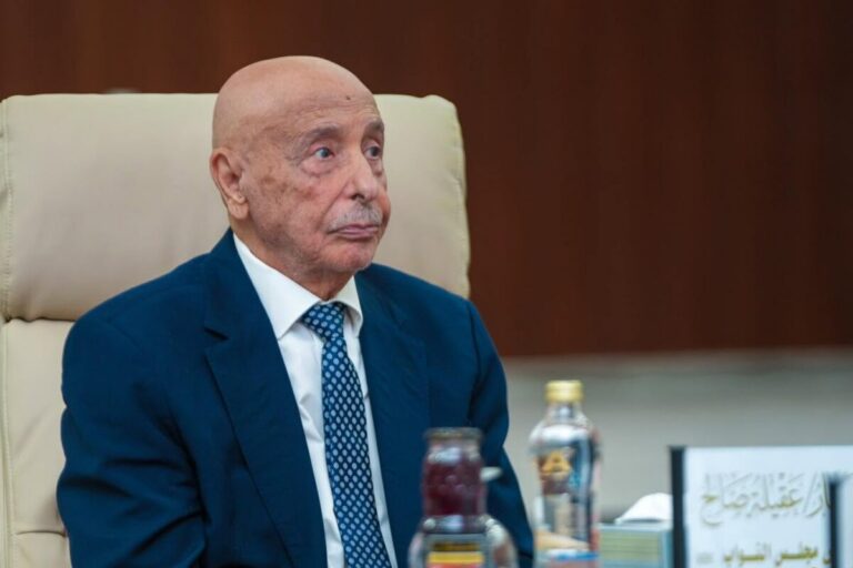 عقيلة صالح: بناء جيش وطني «قوي ومؤهل وموحد» ضرورة وطنية
