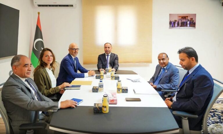 الباعور يبحث مع الاتحاد الأوروبي «تعزيز التعاون» المشترك