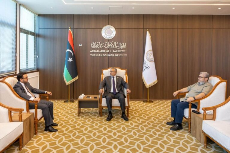 الأعلى للدولة: تشكيل لجنة للتواصل مع الشباب ومتابعة مقترحاتهم