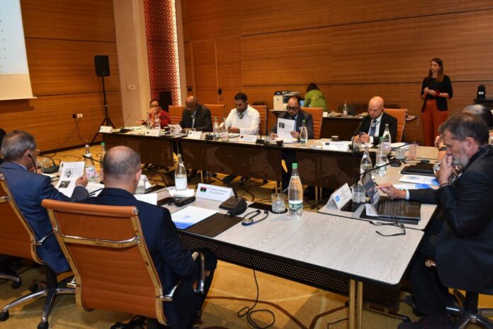 البعثة الأممية تُعلن إحراز تقدم بمشاورات «خارطة الطريق» الليبية
