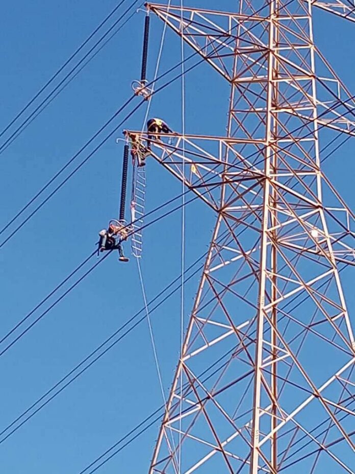 شركة الكهرباء تنفذ الترقيات الوظيفية المستحقة.. التعامل مع 15.580 بلاغاً في يوم واحد