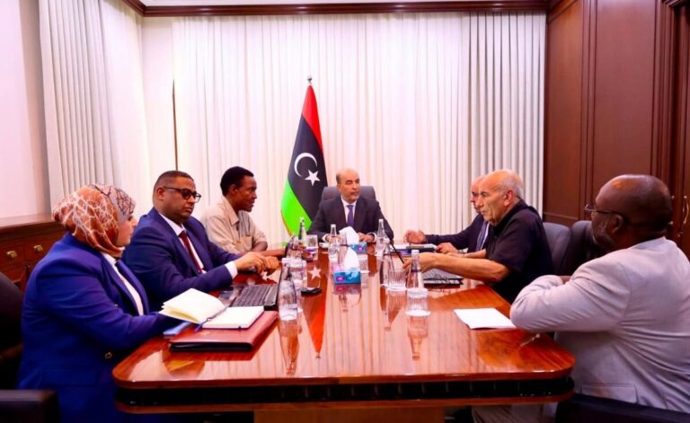 الكوني: تسريع تنفيذ مشاريع الجنوب واستكمالها وفق الخطط