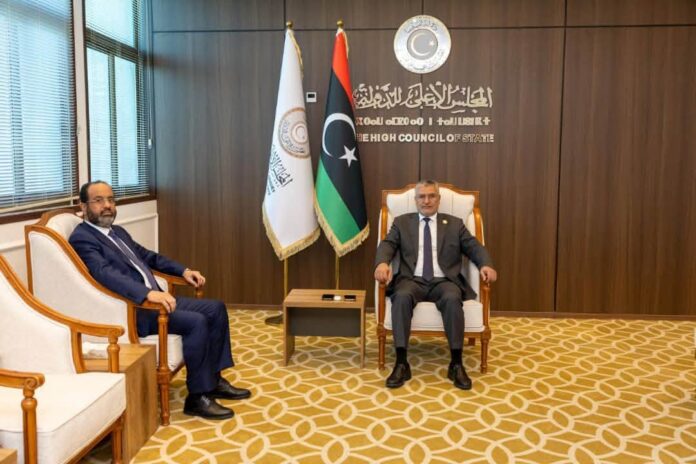 الأعلى للدولة يبحث «رفع المعاناة» عن مواطني الجنوب