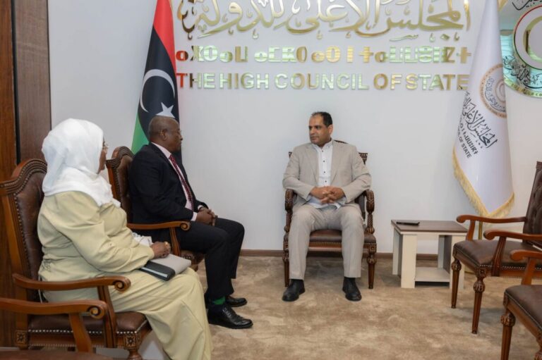 الأعلى للدولة: تطوير التعاون مع تشاد يخدم المصالح المشتركة للشعبين