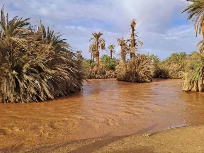 الساعات المقبلة في خطر.. الأرصاد تحذر عبر «عين ليبيا»: لا تتحركوا إلاّ للضرورة القصوى