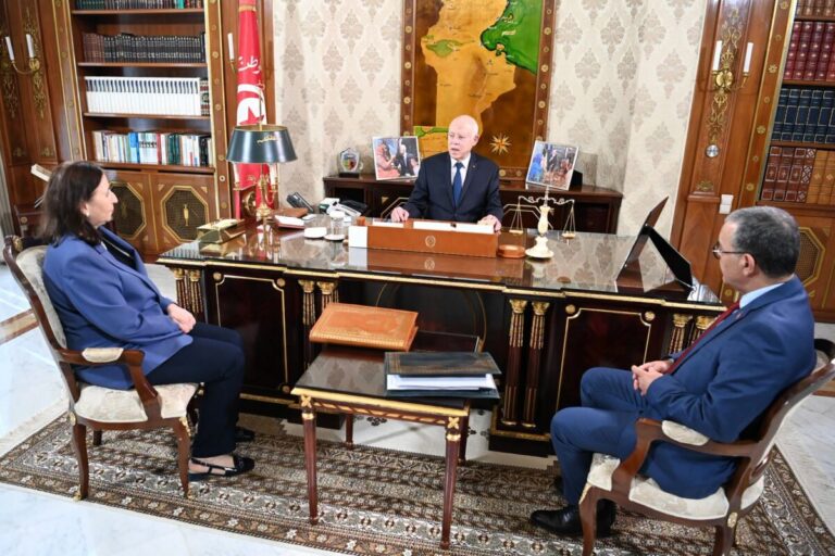 قيس سعيّد: الأوطان لا تُبنى بالأيادي المرتعشة