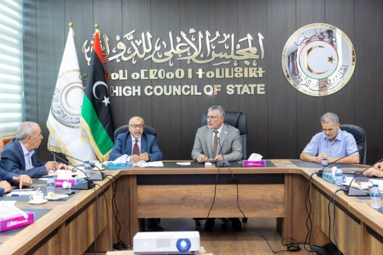 الأعلى للدولة يناقش مشروع قانون لتنظيم العمالة الوافدة في ليبيا