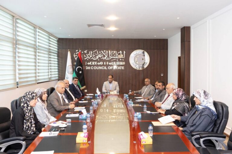 «الأعلى للدولة» يواصل لقاءاته مع المؤسسات الرقابية والسيادية