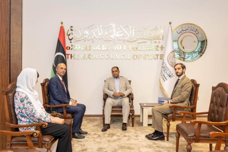 الأعلى للدولة يبحث مع سفيري «إيطاليا والسودان» ملف الانتخابات وأمن الجنوب