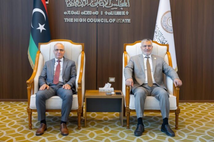 الأعلى للدولة: معالجة الأزمة الليبية مسؤولية وطنية