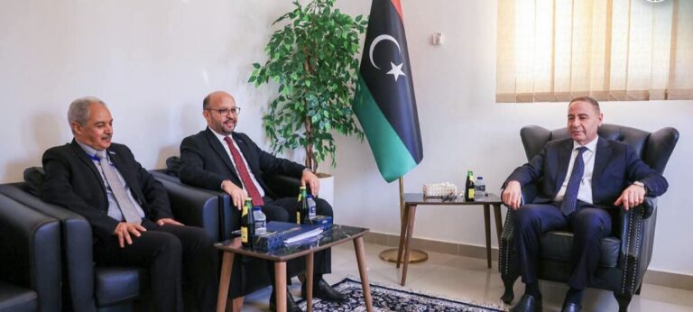 الباعور يبحث مع «الصحة العالمية» تعزيز التعاون