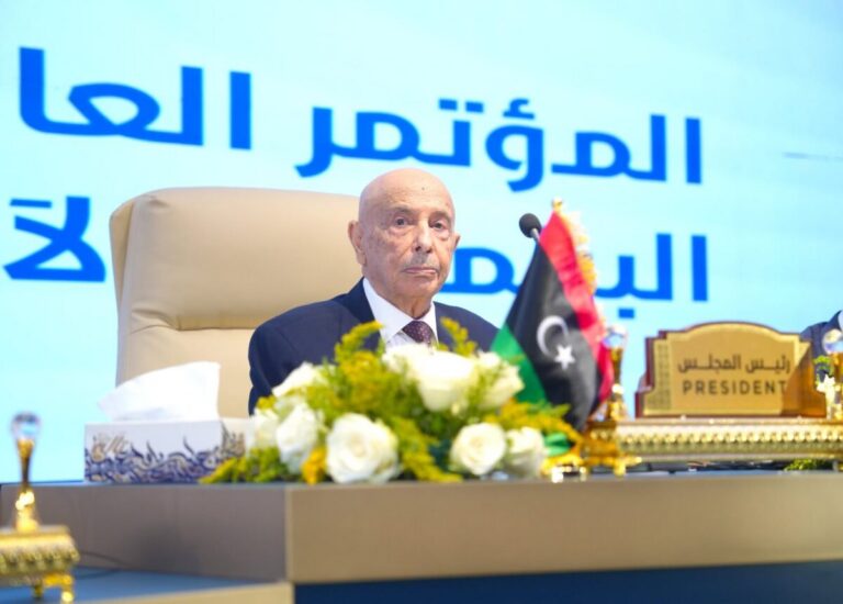 رسالة من القاهرة إلى «عقيلة صالح».. تعزيز جديد للتعاون البرلماني