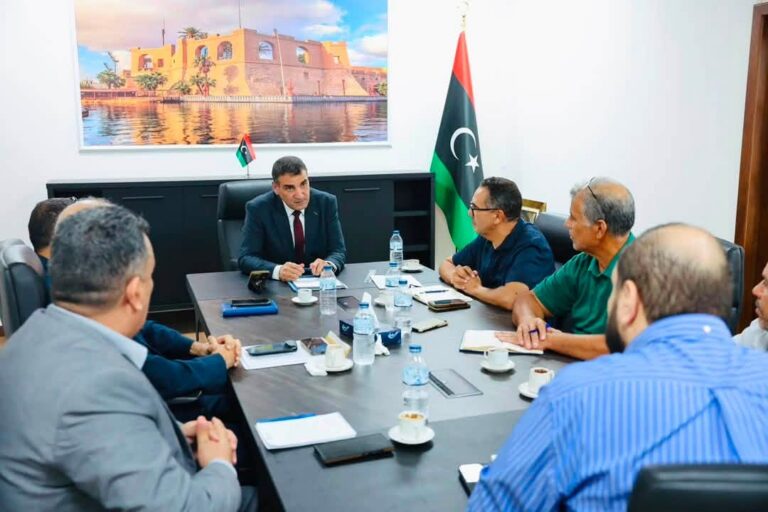 توجيهات حكومية لبحث تحويل محطات الكهرباء إلى «الغاز المسال»