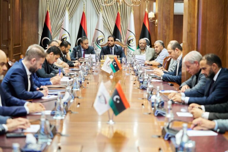 الرقابة تفتح ملفات «الأدوية والنفط» والحسابات الختامية و500 شركة