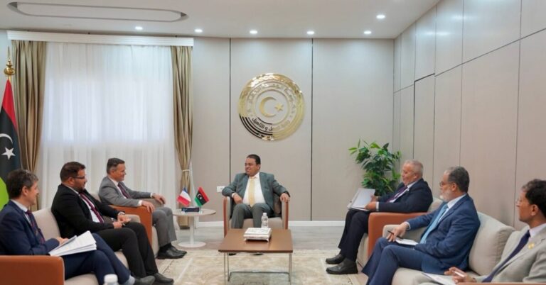 وزير العمل: نبحث الاستفادة من الخبرات الفرنسية في «التدريب المهني»