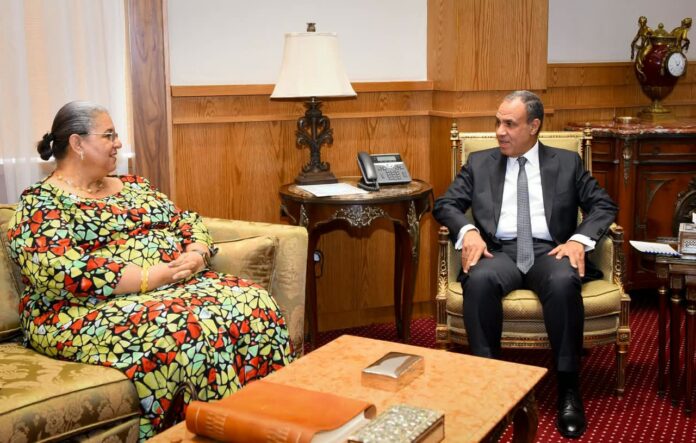 وزير الخارجية المصري يبحث مع تيته الأوضاع «السياسية والأمنية» في ليبيا